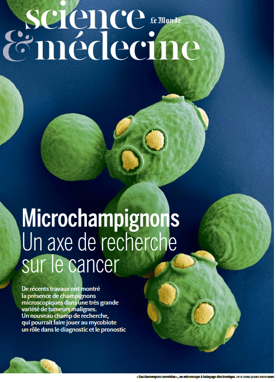 Microchampignons  Un axe de recherche sur le cancer