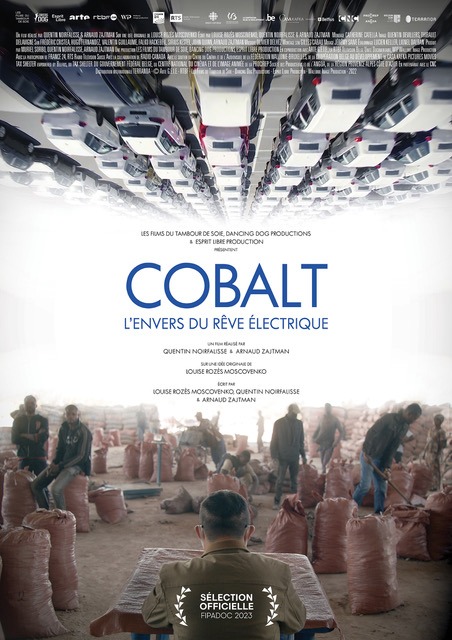 Cobalt, l’envers du rêve électrique