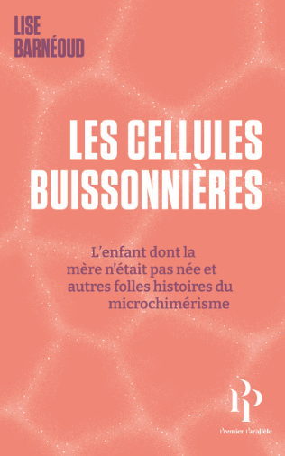 Les cellules buissonnières